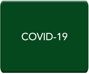 COVID-19 collection banner