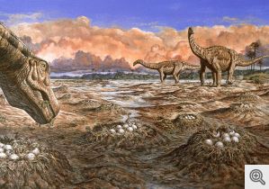 Sauropod dinosaurs at a shared nesting site in the Late Cretaceous.