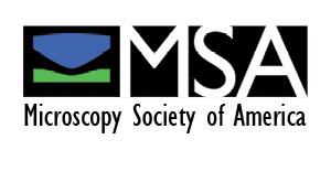 Promo box sized MSA logo