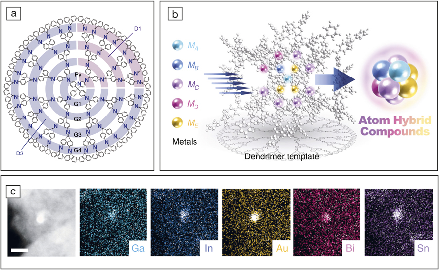 Dendrimer Templates: see caption