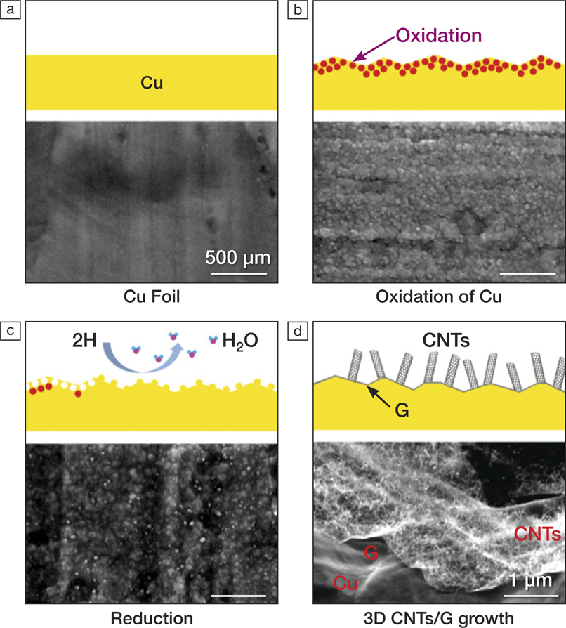3d Carbon Nanotubes And Graphene Sheets Grown Simultaneously On Copper