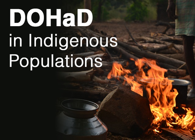 DOHaD in Indigenous Populations