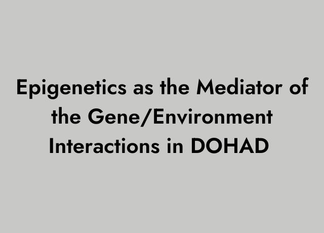 Epigenetics as the Mediator of the Gene/Environment Interactions in DOHAD