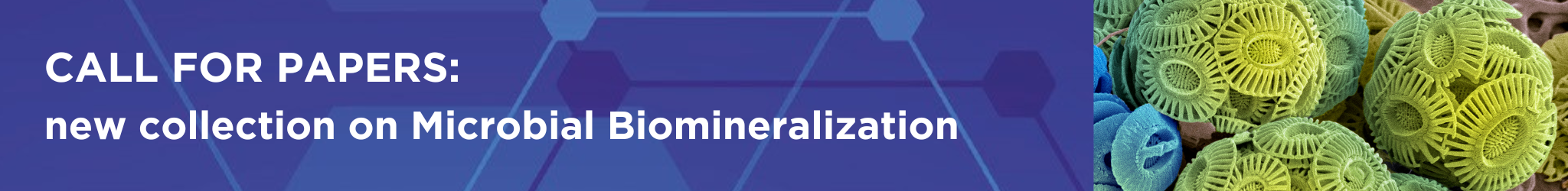 Call for Papers GBI Microbial Biomineralization