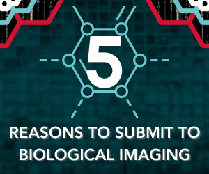 5 Reasons to Submit to BLG