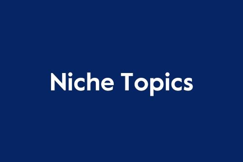 Call for Papers - Niche Topics