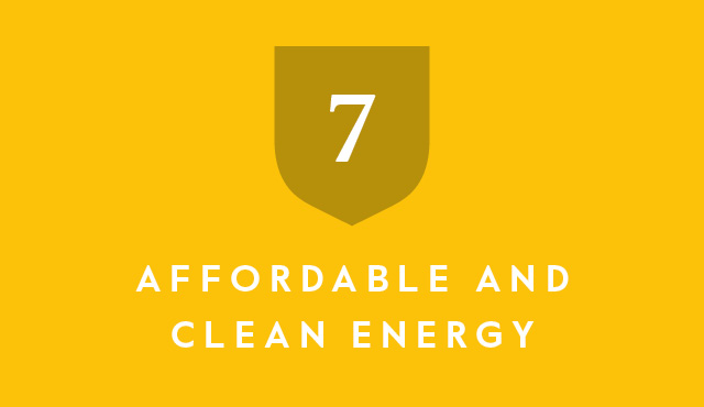 SDG 7 Affordable and clean energy