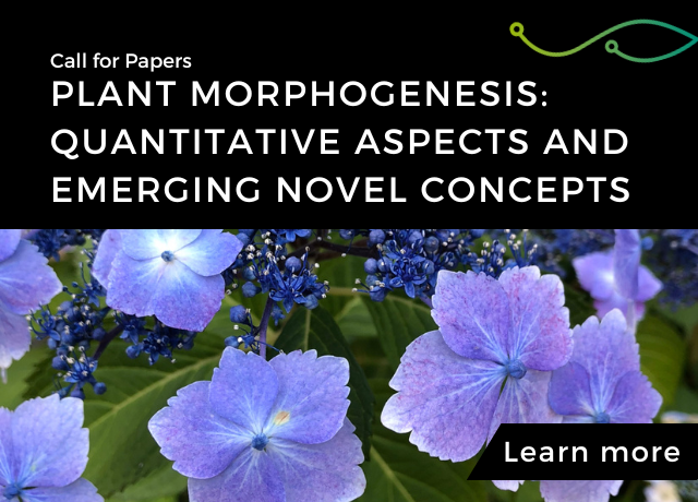 Plant morphogenesis: Quantitative Aspects and Emerging Novel Concepts