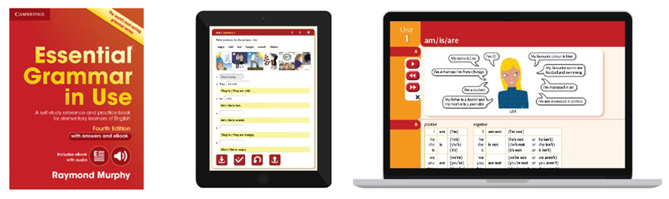 Essential Grammar in Use Fourth Edition | Grammar, Vocabulary and
