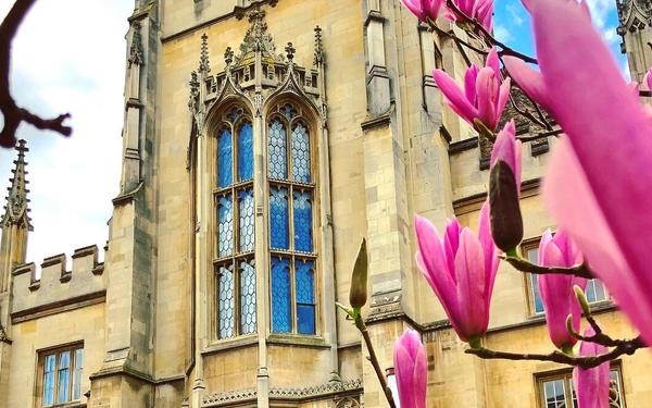 Pitt building exterior with pink magnolia in the foreground